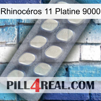 Rhinocéros 11 Platine 9000 08